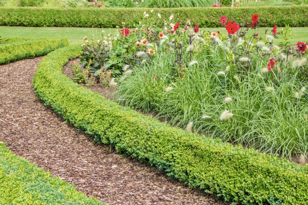 Simple Hedge Garden Maintenance β Nest & Vine Ltd β Gardening / Landscaping ...